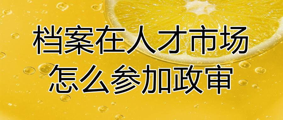 档案在人才市场怎么参加政审