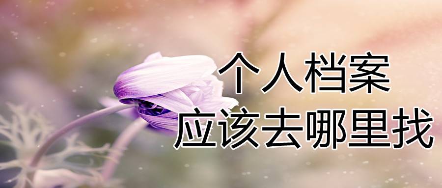 个人档案应该去哪里找