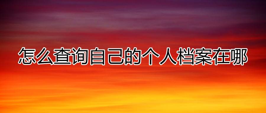 怎么查询自己的个人档案在哪