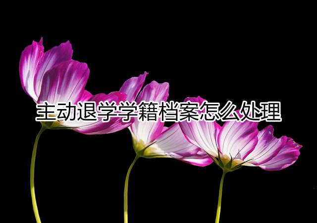 主动退学学籍档案怎么处理