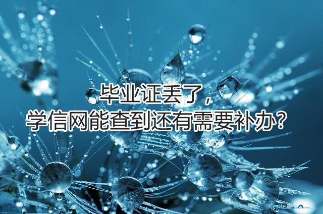 毕业证丢了，学信网能查到还有需要补办？