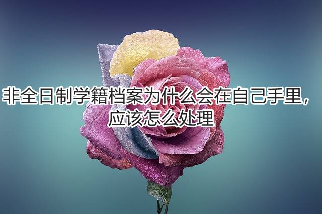 非全日制学籍档案为什么会在自己手里，应该怎么处理