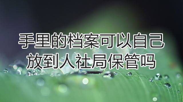 手里的档案可以自己放到人社局保管吗
