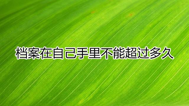 档案在自己手里不能超过多久
