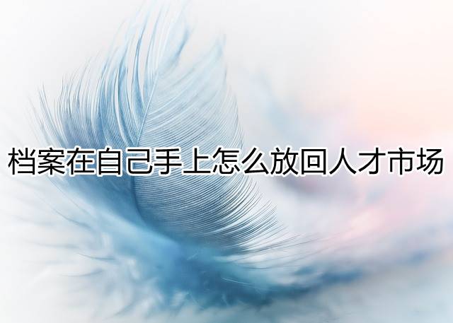 档案在自己手上怎么放回人才市场