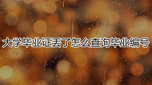 大学毕业证丢了怎么查询毕业编号