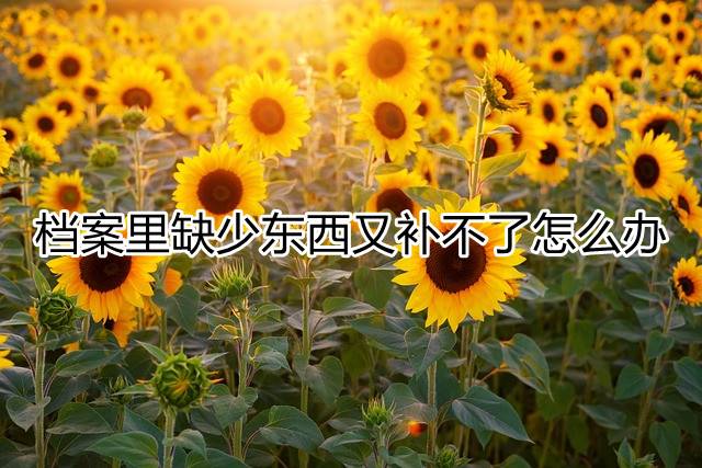 档案里缺少东西又补不了怎么办