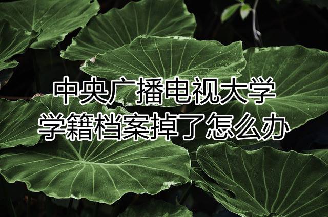 中央广播电视大学学籍档案掉了怎么办