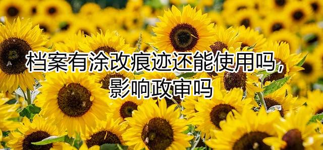 档案有涂改痕迹还能使用吗，影响政审吗