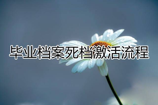 毕业档案死档激活流程