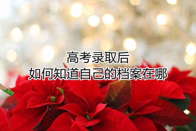 高考录取后如何知道自己的档案在哪