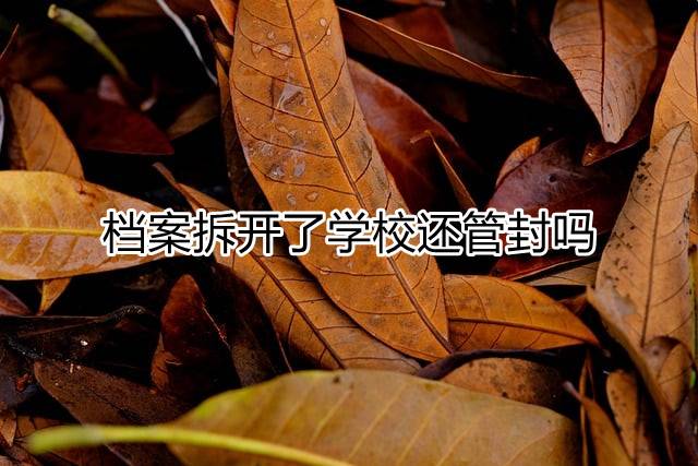 档案拆开了学校还管封吗