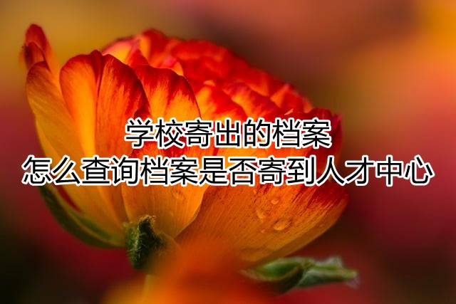 学校寄出的档案怎么查询档案是否寄到人才中心