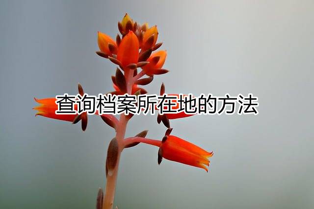 查询档案所在地的方法