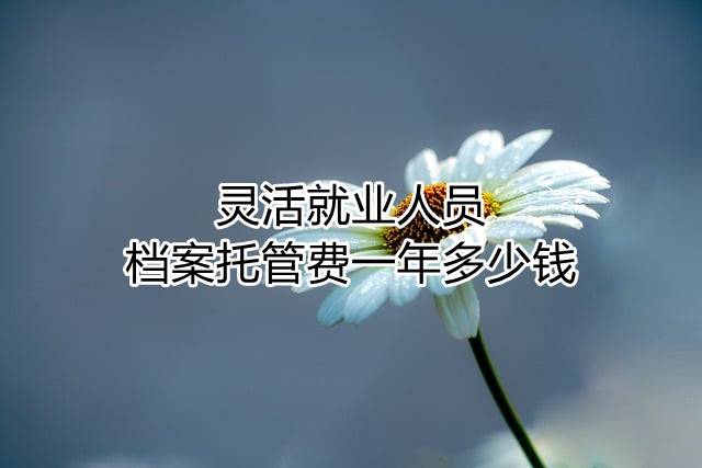 灵活就业人员档案托管费一年多少钱