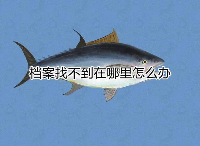 档案找不到在哪里怎么办
