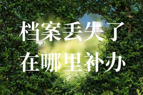 档案丢失了在哪里补办