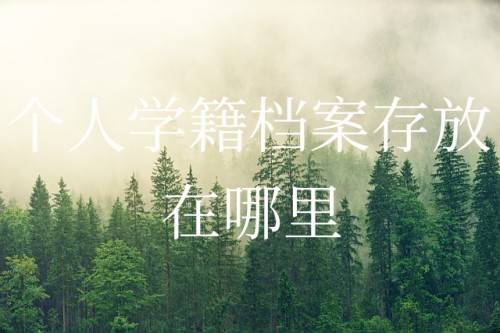 个人学籍档案存放在哪里