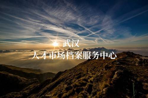 武汉人才市场档案服务中心接收外市档案吗，可以存放党员档案吗