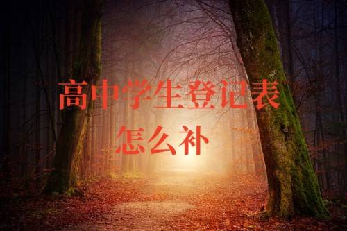 高中学生登记表怎么补