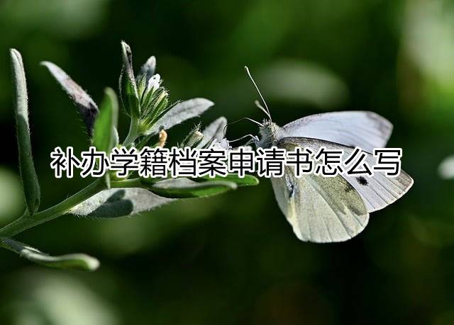 补办学籍档案申请书怎么写