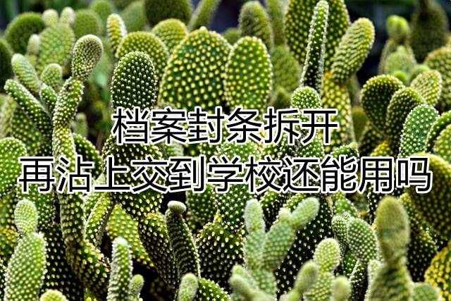 档案封条拆开再沾上交到学校还能用吗