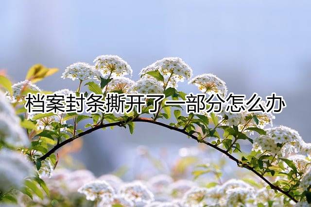 档案封条撕开了一部分怎么办