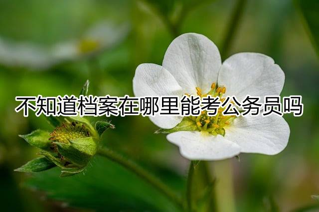 不知道档案在哪里能考公务员吗