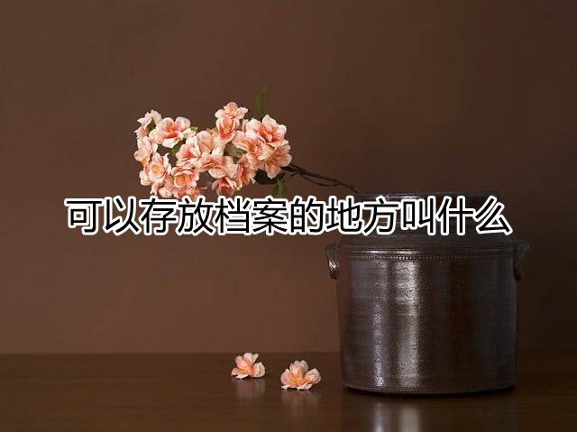 可以存放档案的地方叫什么