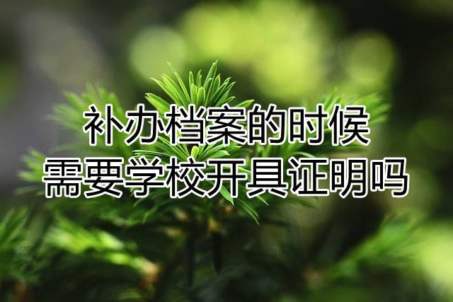 补办档案的时候需要学校开具证明吗