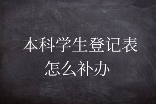 本科学生登记表怎么补办