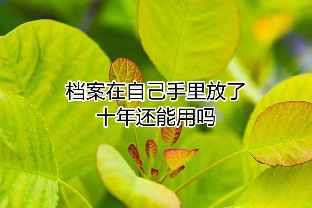 档案在自己手里放了十年还能用吗