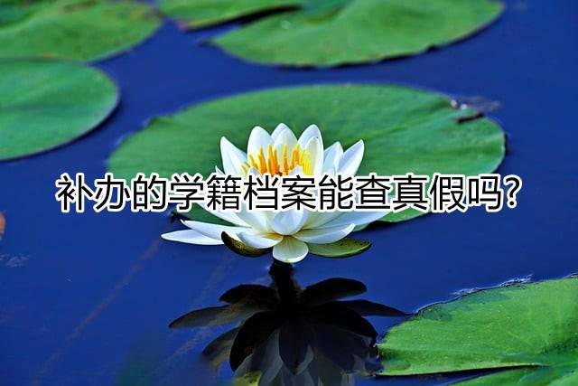 补办的学籍档案能查真假吗
