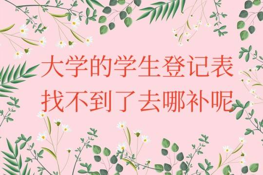 大学的学生登记表找不到了去哪补呢