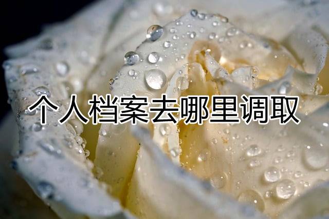 个人档案去哪里调取