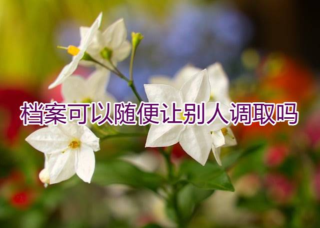 档案可以随便让别人调取吗