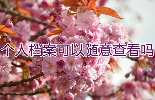 个人档案可以随意查看吗