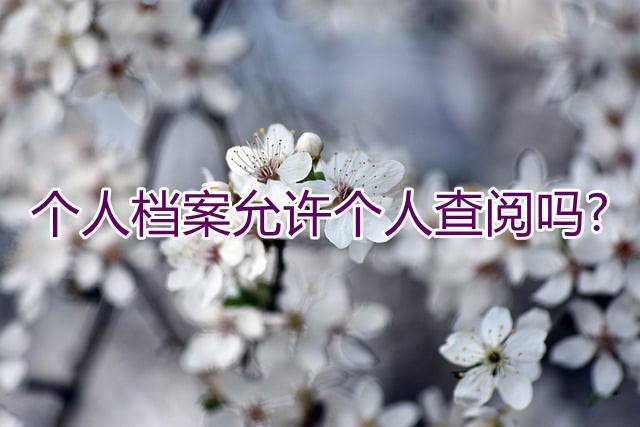 个人档案允许个人查阅吗