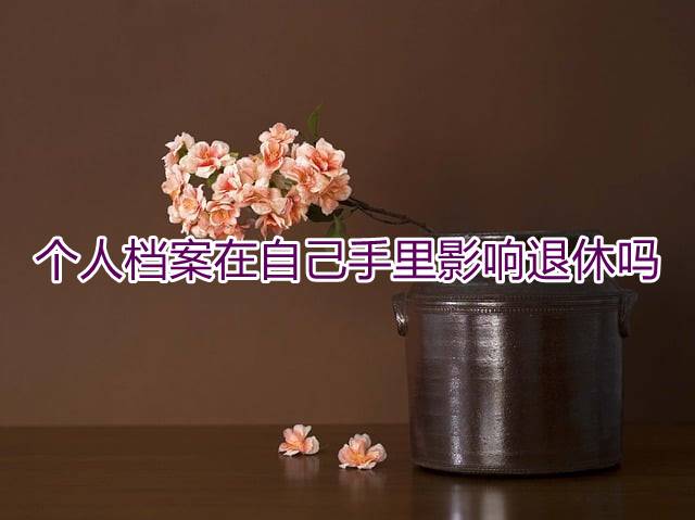 个人档案在自己手里影响退休吗