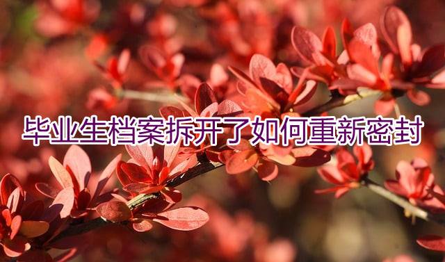 毕业生档案拆开了如何重新密封