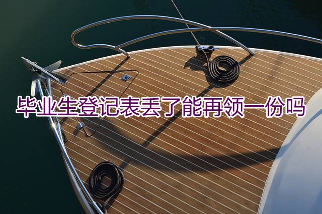 毕业生登记表丢了能再领一份吗