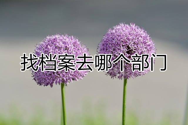 找档案去哪个部门