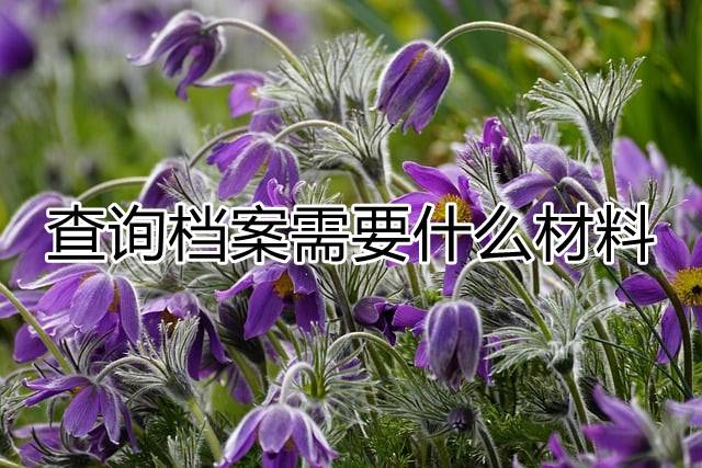 查询档案需要什么材料