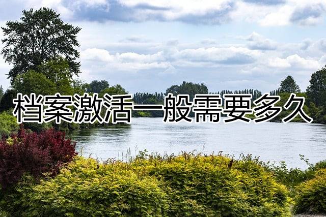 档案激活一般需要多久