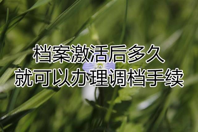 档案激活后多久就可以办理调档手续