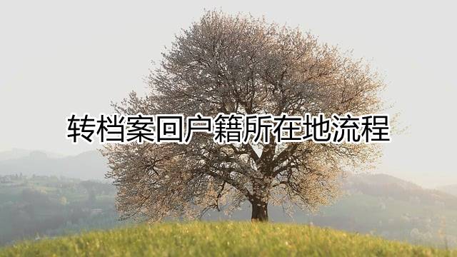 转档案回户籍所在地流程