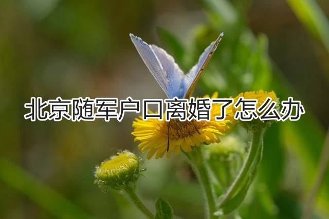 北京随军户口离婚了怎么办