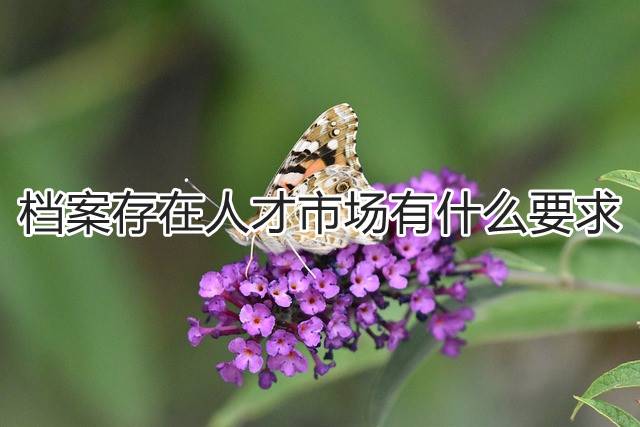 档案存在人才市场有什么要求