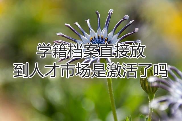 学籍档案直接放到人才市场是激活了吗