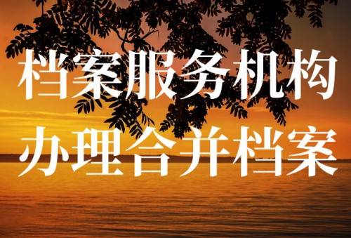 档案服务机构办理合并档案规定与流程手续